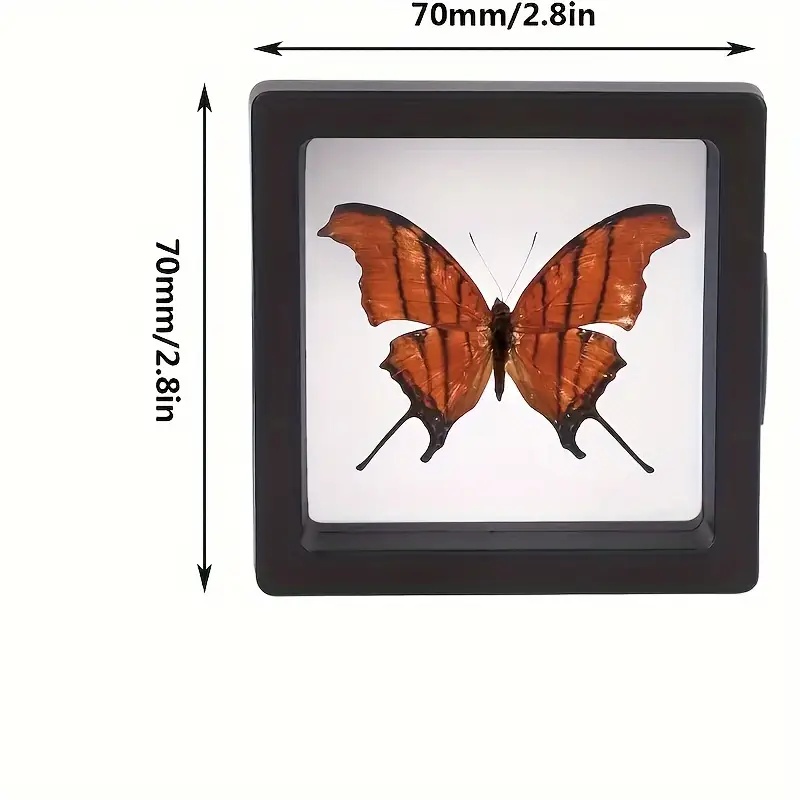 Vetrine galleggianti Clearview - Jewelry Making Tray recensione e prezzo